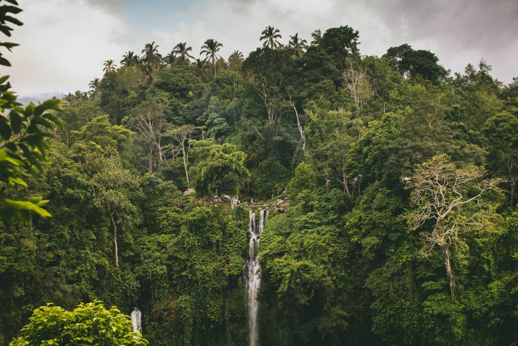 Cunca Wulang Waterfall & Canyon: How to Visit