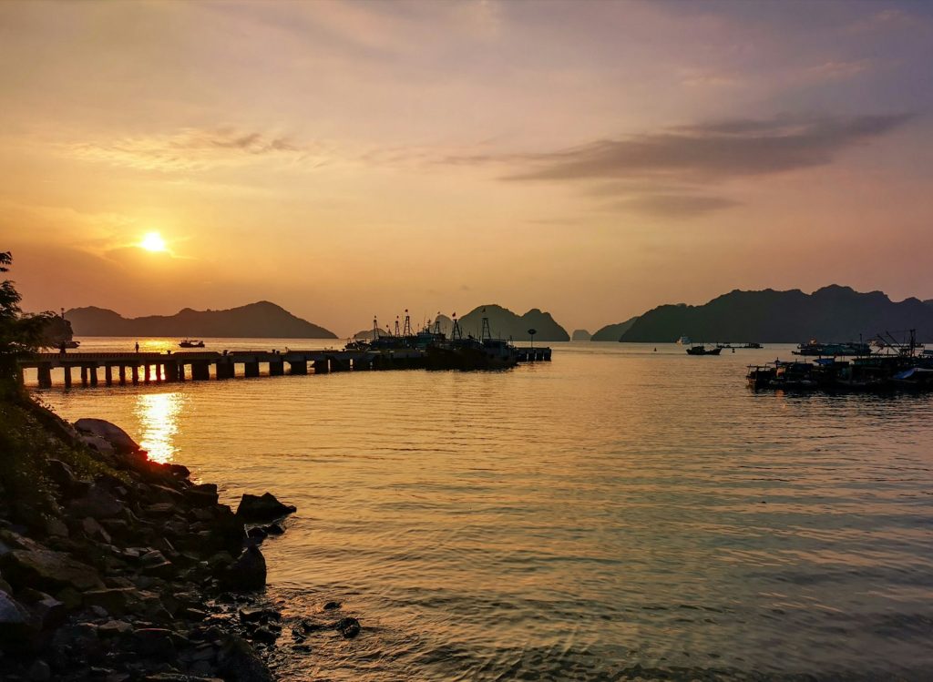 Komodo Liveaboard vs Day Trip: How to Choose