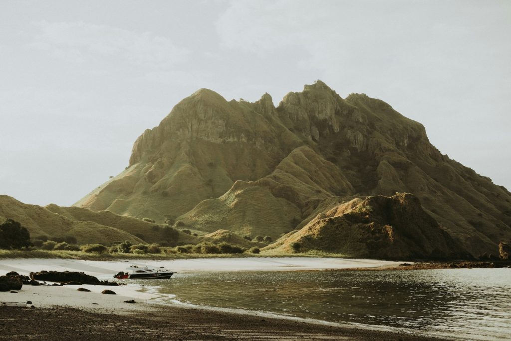 Komodo Tour Scams: How to Avoid the Traps