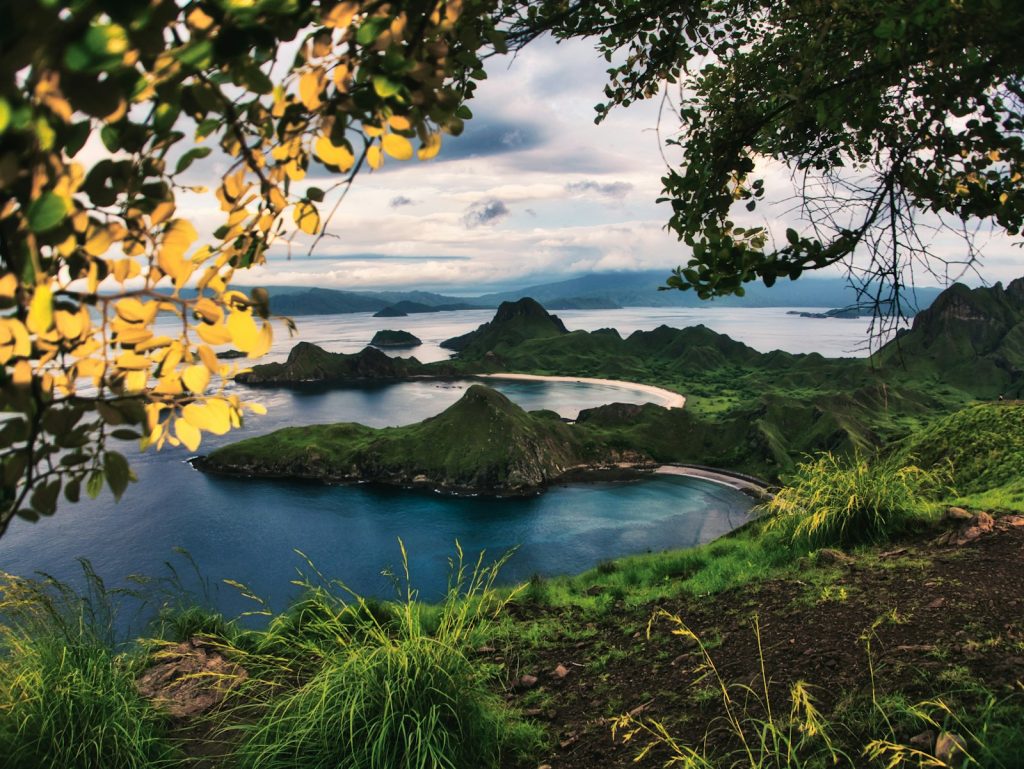 Open Trip Labuan Bajo: How Shared Tours Work