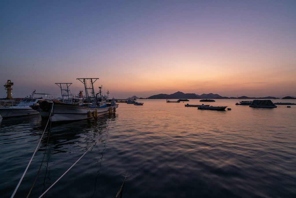 Plan Your Labuan Bajo Trip — Free Planning Help